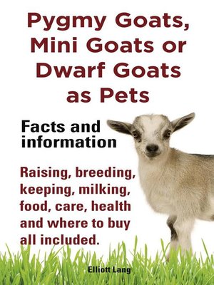 cover image of Pygmy Goats as Pets. Pygmy Goats, Mini Goats or Dwarf Goats